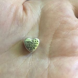 PANDORA Fall Before You Fly Charm